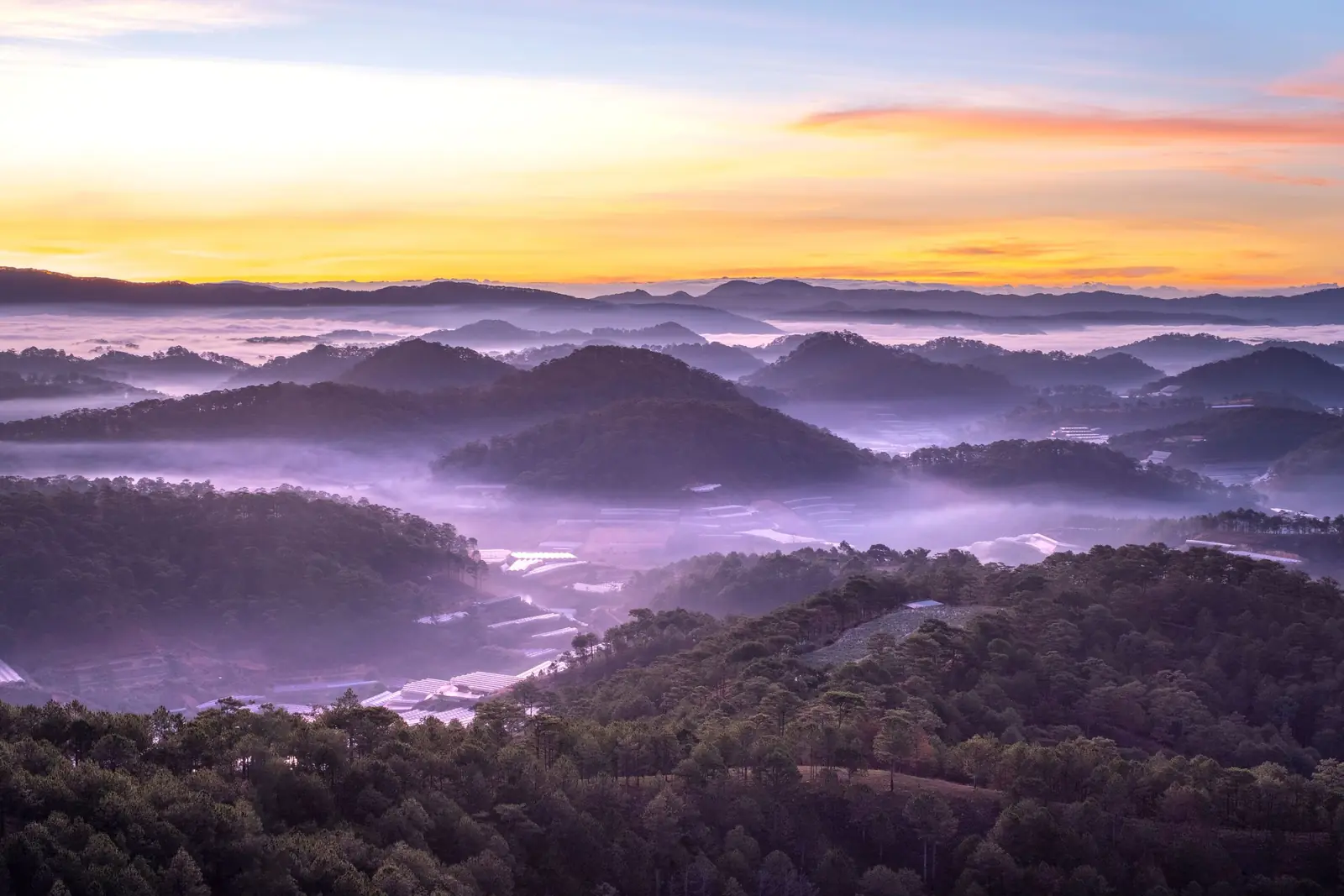 Mist settling in the valleys between forested hills at sunrise