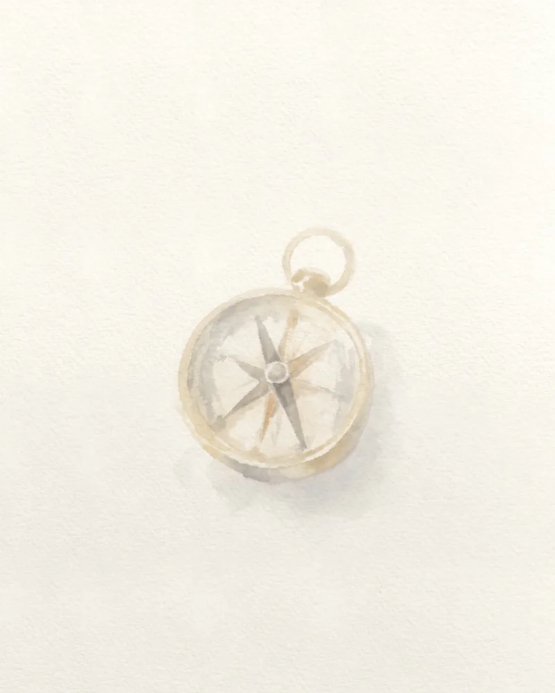 A compass from the generator, in soft washes with little detail