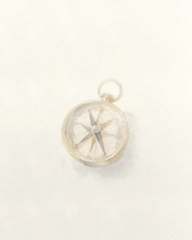 A compass